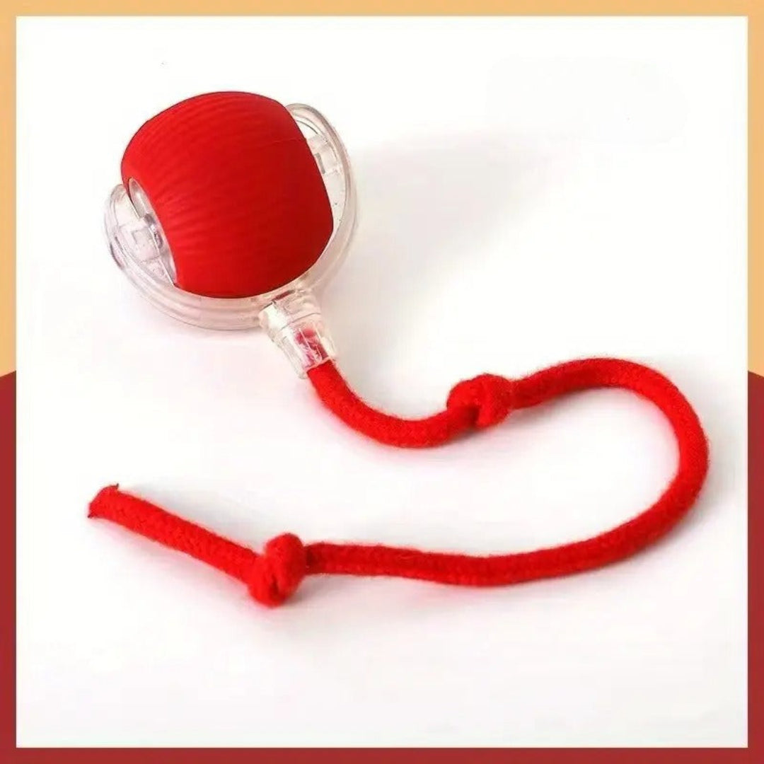 Furloverz - Pallina automatica per cani ™
