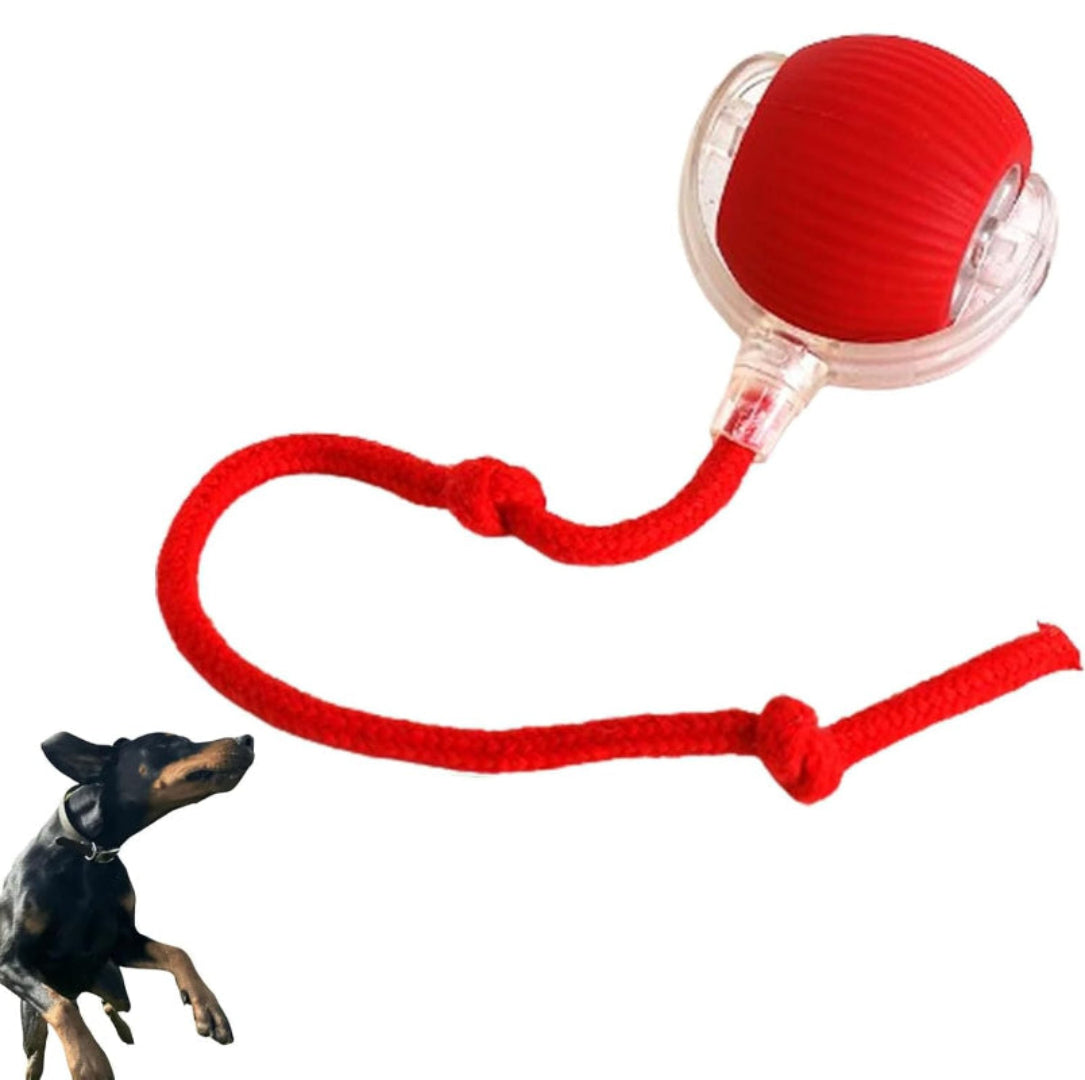 Furloverz - Pallina automatica per cani ™