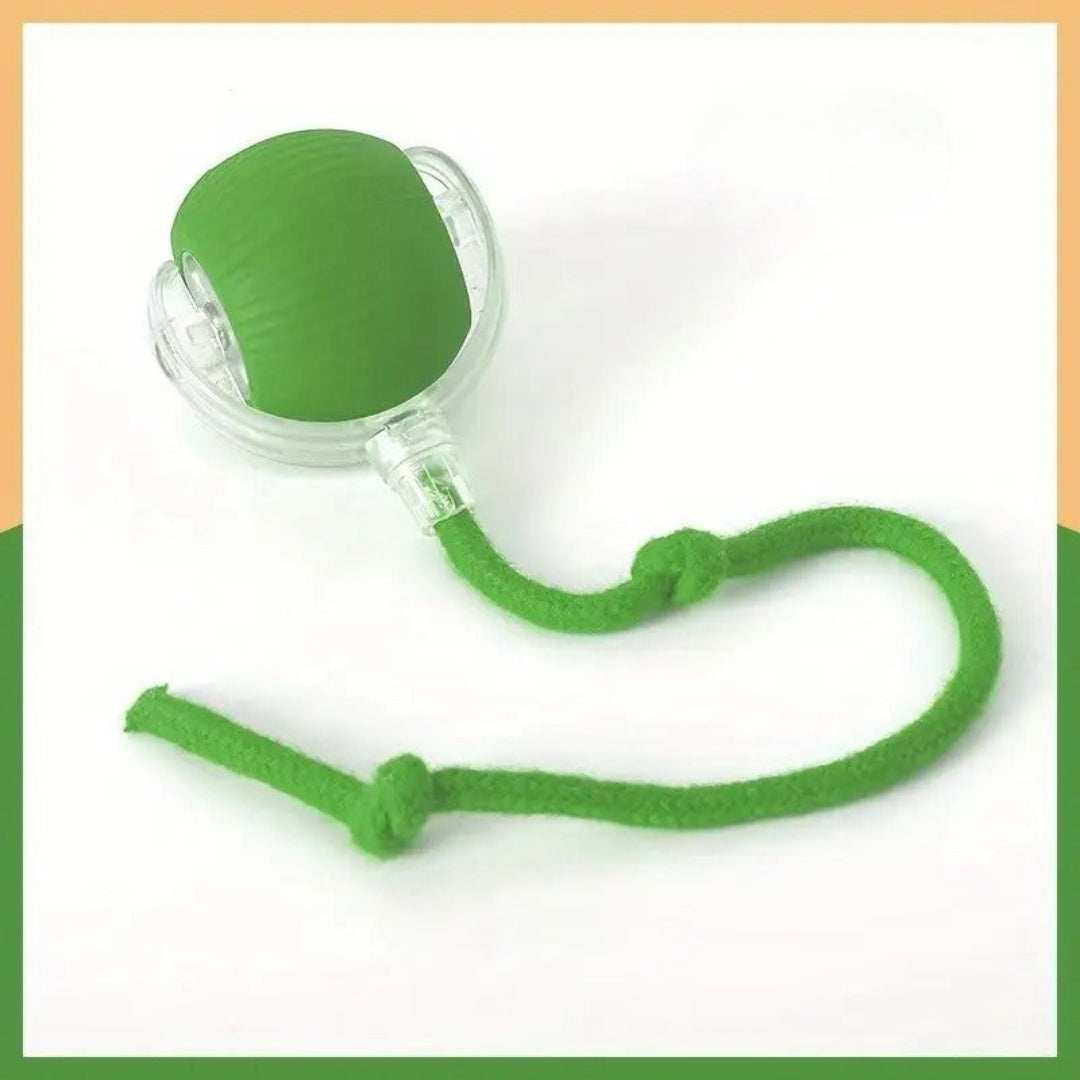 Furloverz - Pallina automatica per cani ™